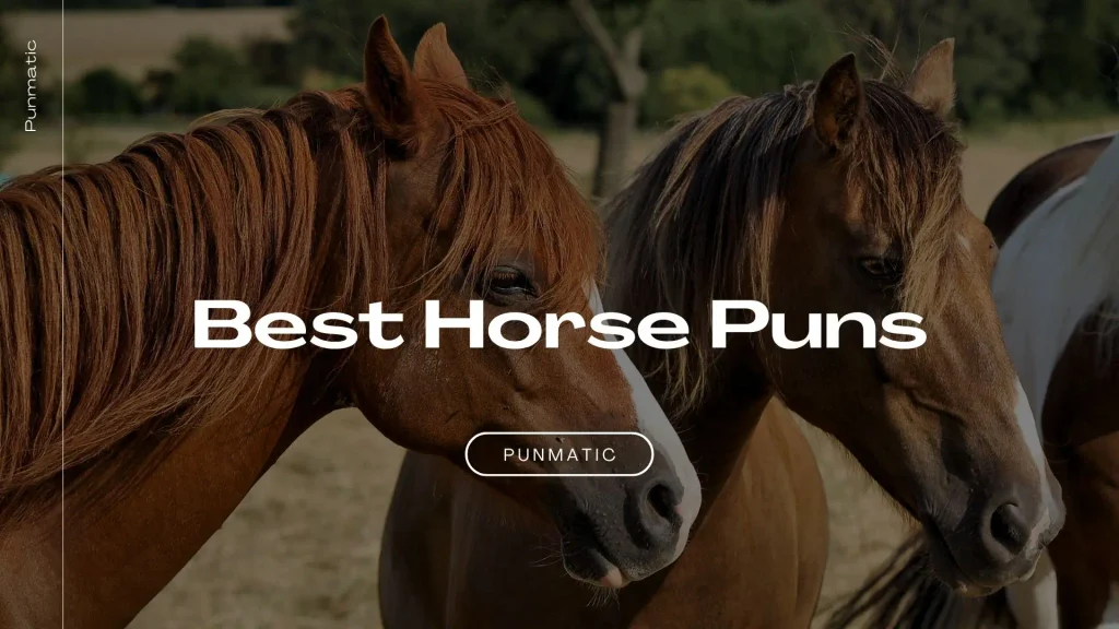 Best Horse Puns