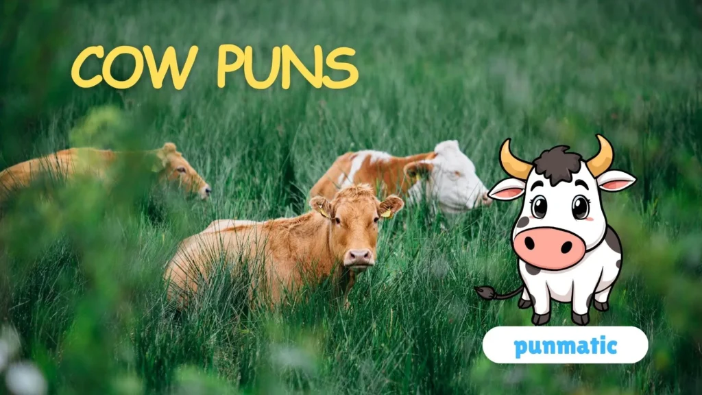 Cow puns