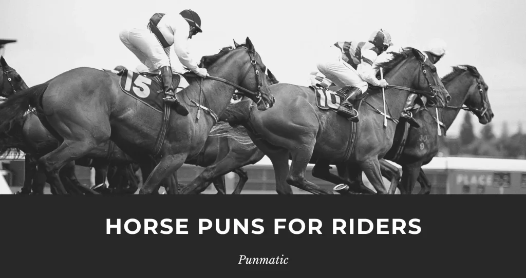 Horse Puns for Riders