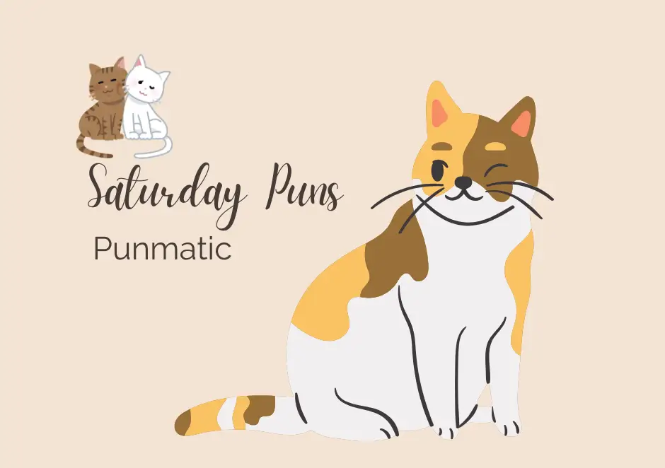Saturday Puns