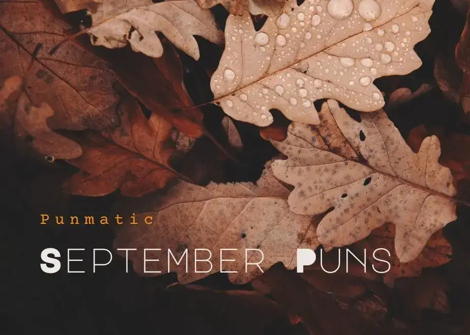 September Puns