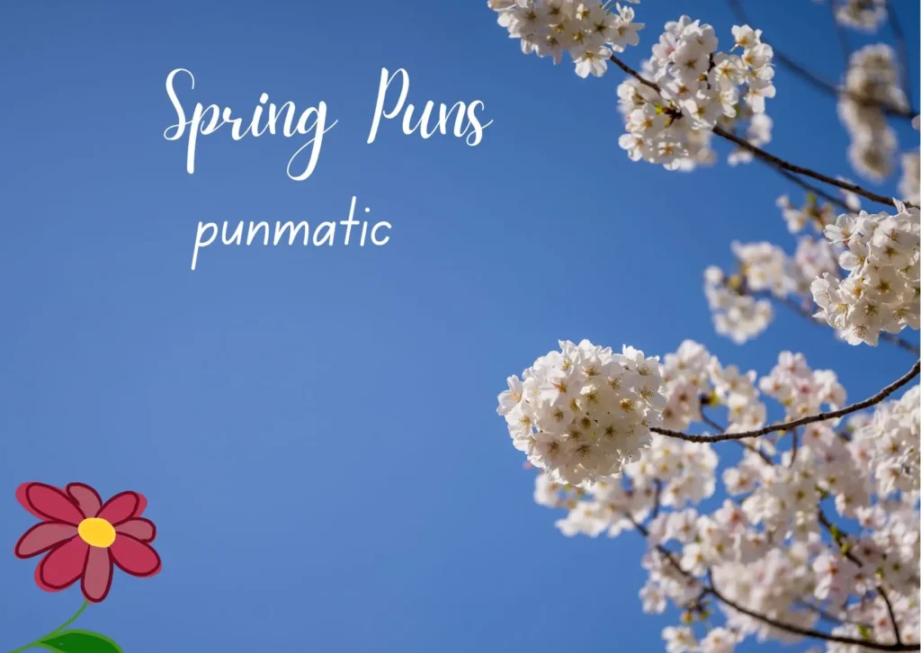 Spring Puns
