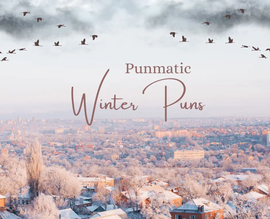 Winter Puns