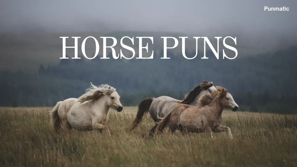 horse puns