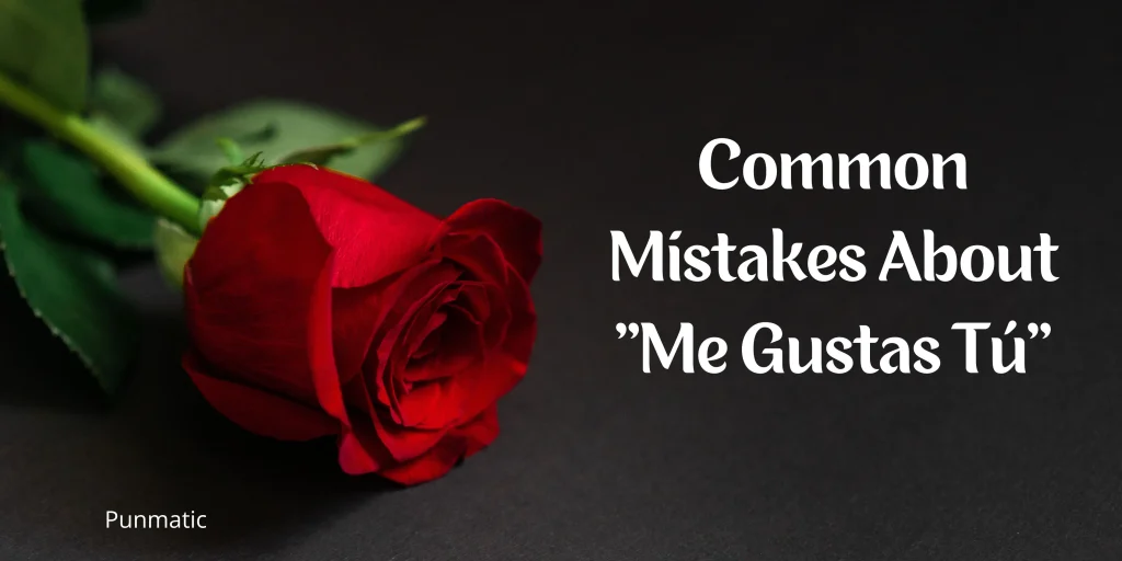 Common Mistakes About “Me Gustas Tú”