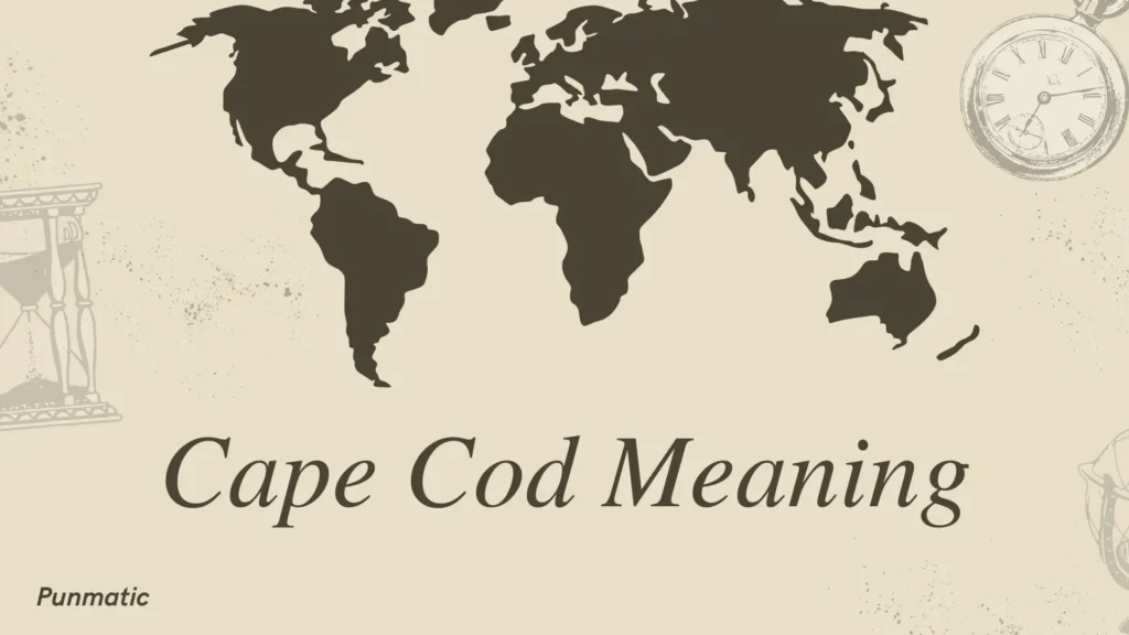 cape cod meaning