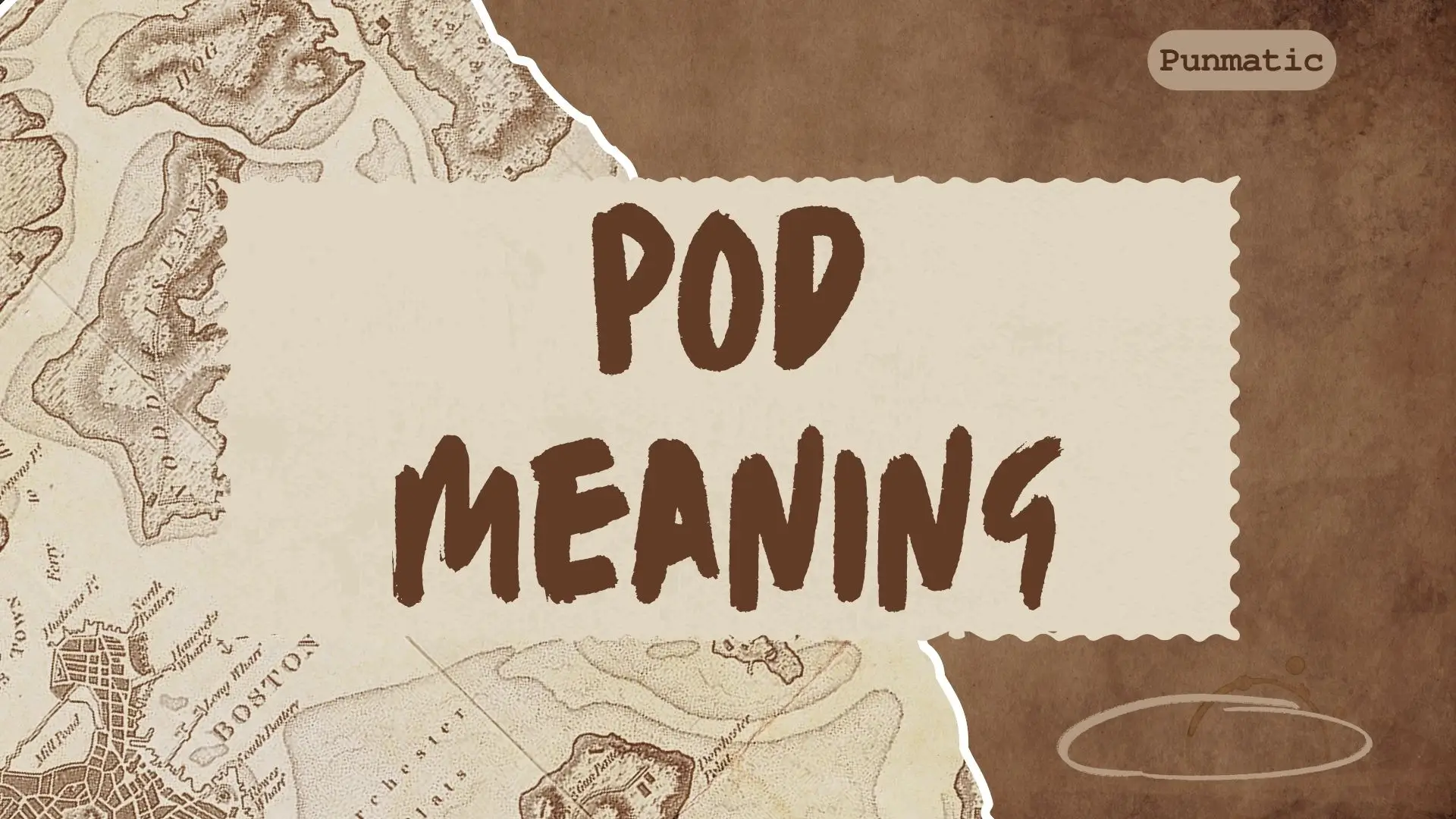 pod meaning