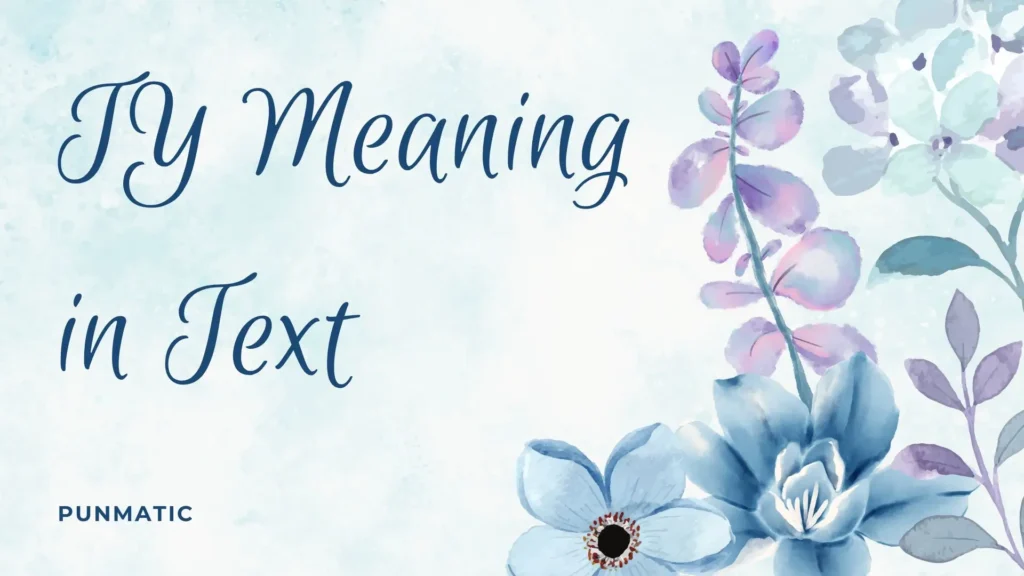 ty meaning in text
