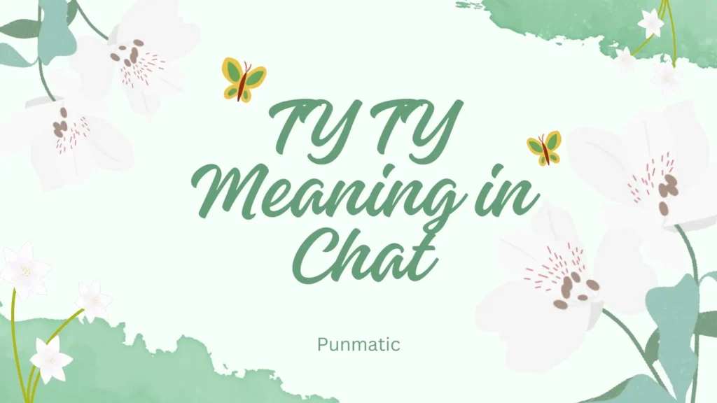 ty ty meaning in chat